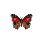KALEIDOSKOP